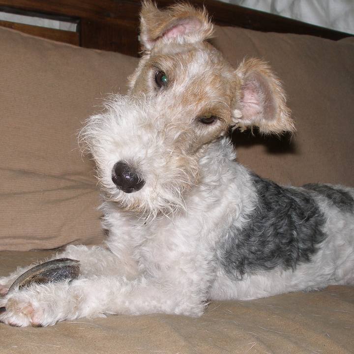 96315d3d f2a9 487c 9295 088c5bf83fdd