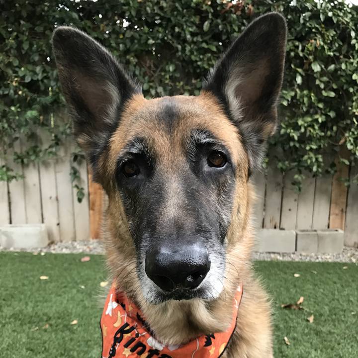 9631e338 8448 4565 af52 eccb09b0010f