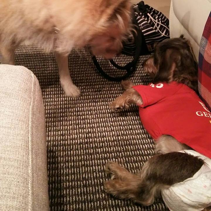 96320f92 dfef 426b aac8 6c726718bfc1