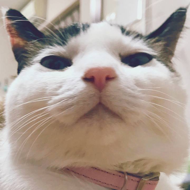 9632d20a a841 4a5b 9096 c8e2b31fcd50