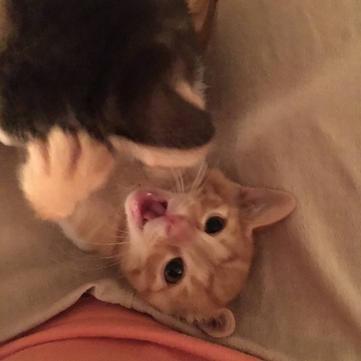 963311f1 d06a 4863 a715 0cb9c8af85ea