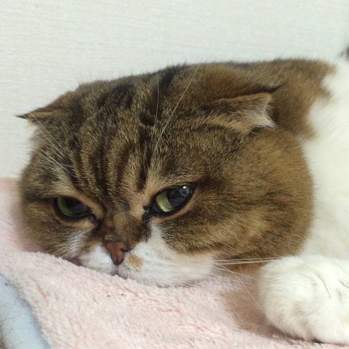 96332778 d6e6 4e98 afd2 f31370601ea2