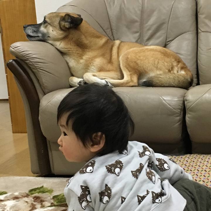 9633d4f1 a51e 4ba1 b6aa 186c343ed16a