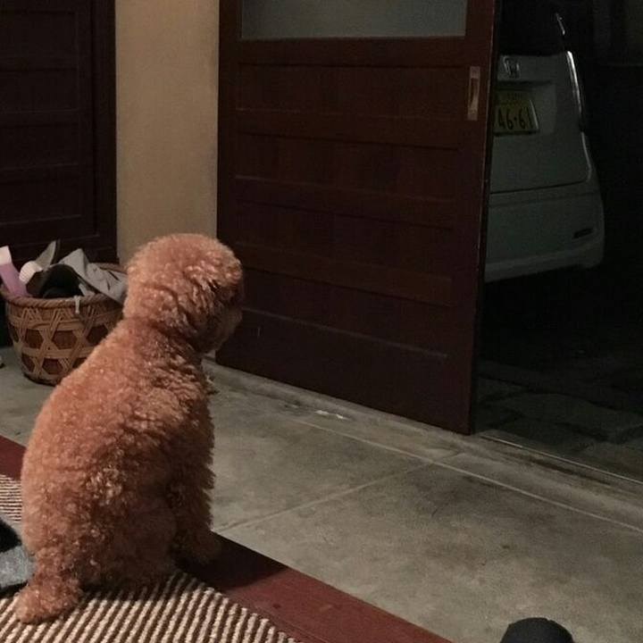 96343544 1742 4b8b ac1b 5953d10e0041