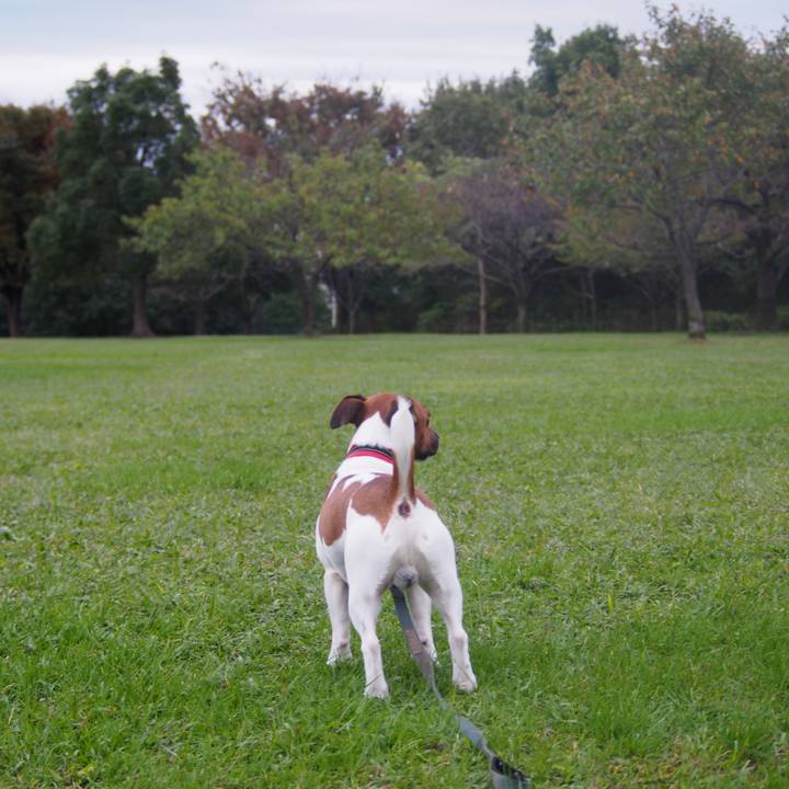 9634dac4 1a82 4402 ab80 595a0c26173f