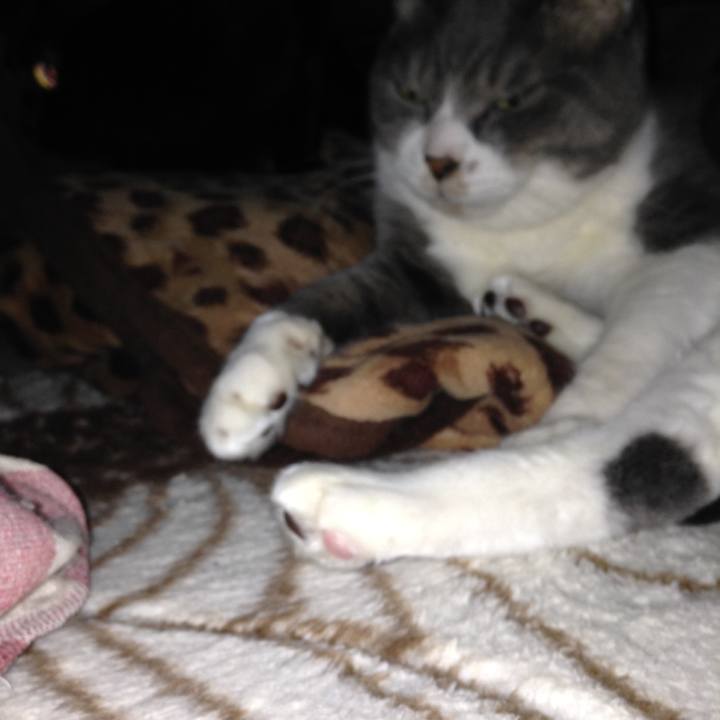 9634dcfb 9011 4a7e b902 f09d169df72d