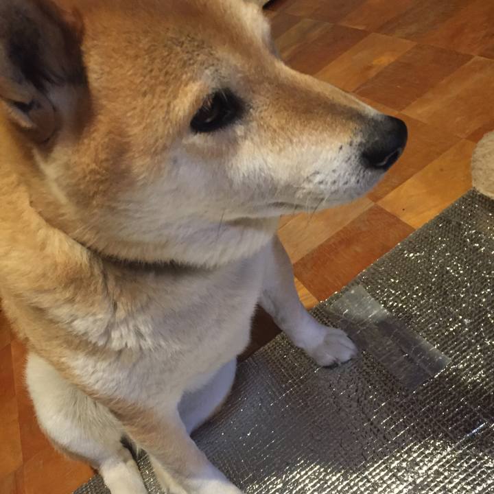 96357af5 babc 47f6 bf0a 1cf06013d403