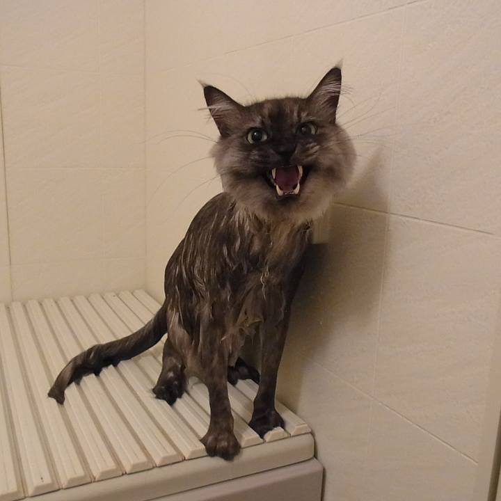 9635e875 1edc 4a86 a4f0 a16d6862354d