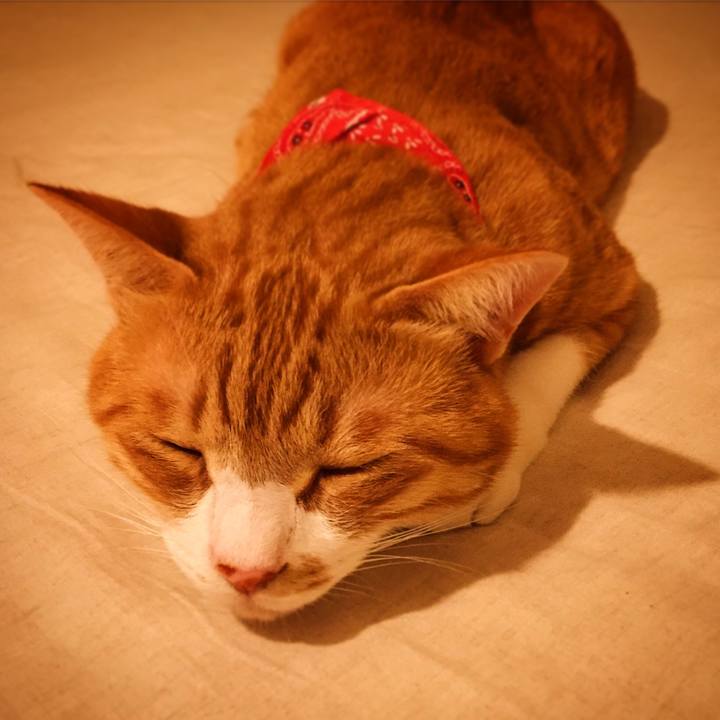 963635df 2fb0 4a88 92db 3df0b9798369