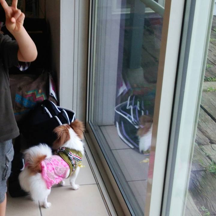 96365de5 9a73 4845 941f 1134ce493133