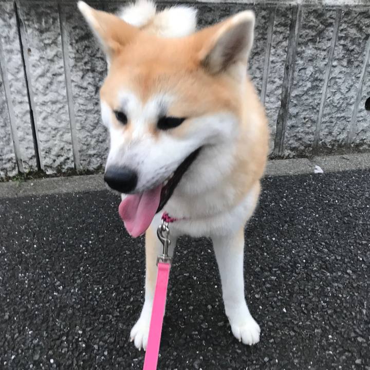 9636b45d 6e87 4127 a6c7 d38ae415b093