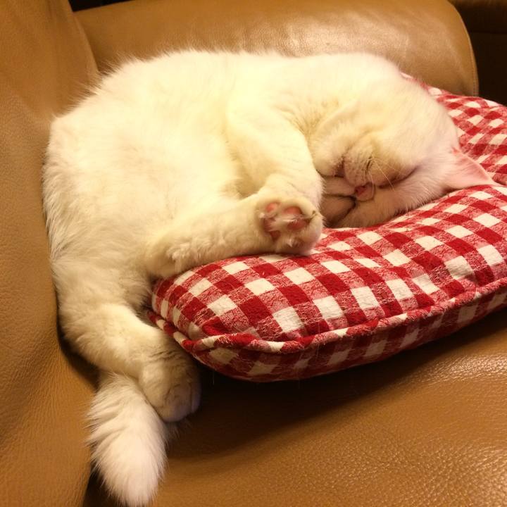 9636f9dd 0c04 495f b2ae ba29d4cd54e1