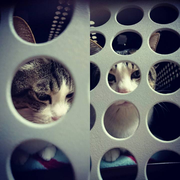 9637329f 973c 431e 85b6 8811c9eba55e