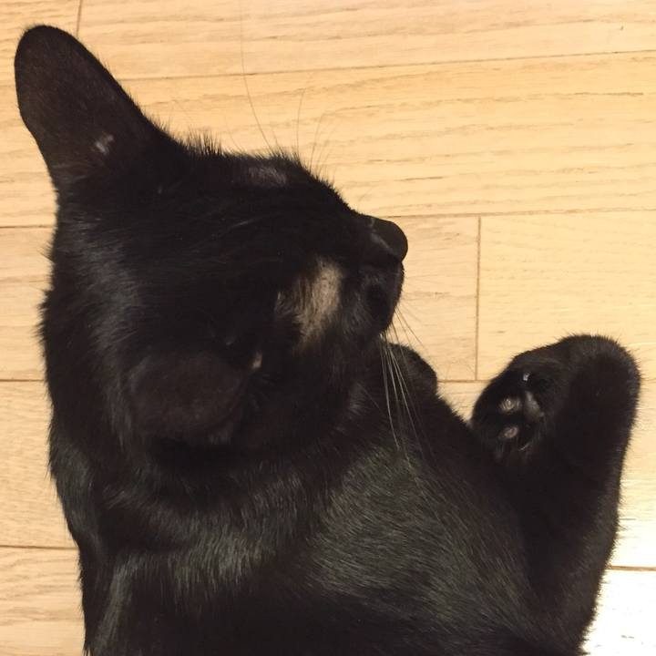 96376748 c4d8 4b96 b68a 906bc627462d