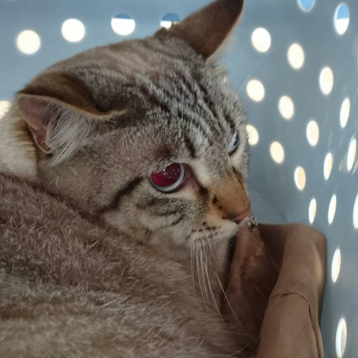 96378463 f97c 4029 b9dc edf4f8b40e0c