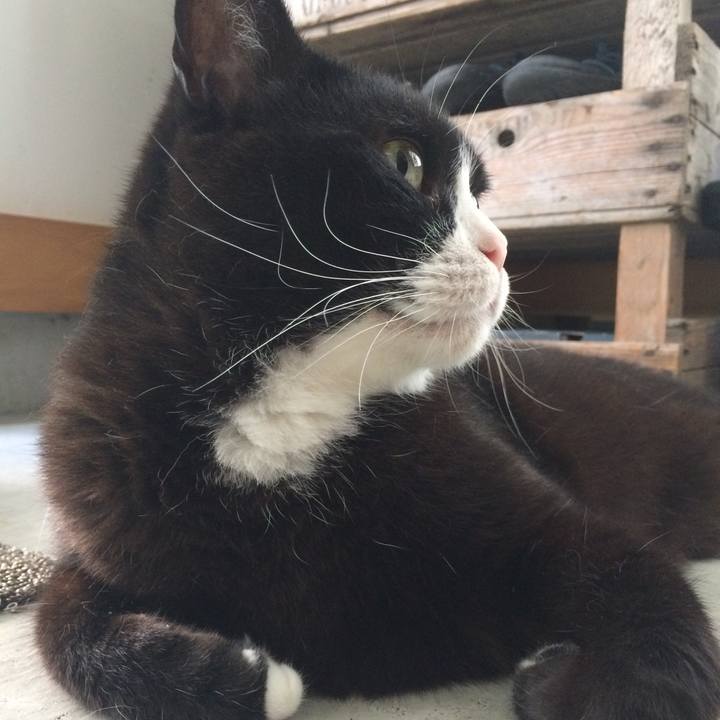 9637b73e db8f 47d7 8b42 40b7efe93a62