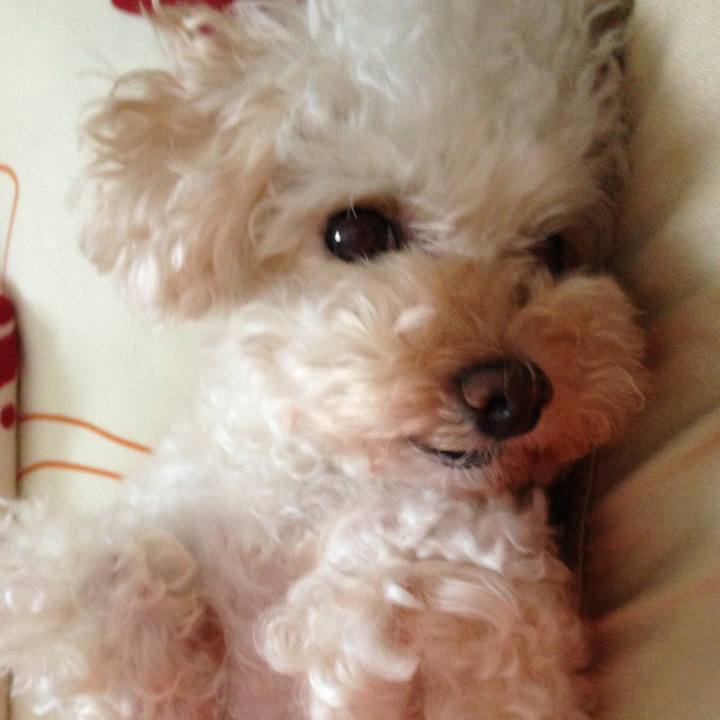 96380b7c 8a79 4c7b b0ba 06d4666de1ad