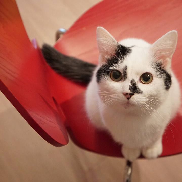 96384439 bb86 4232 bf9d 49d8a3244782