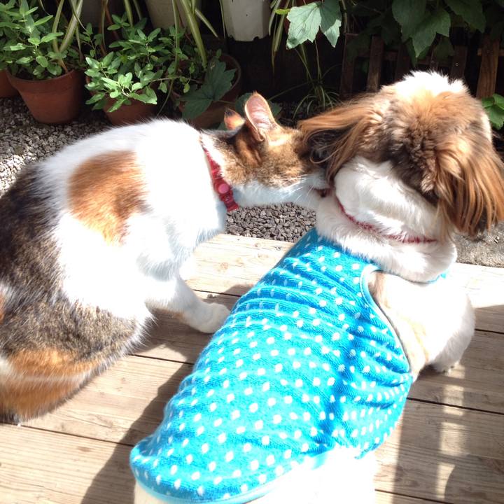 96385d1a 31cc 4c73 bd30 72fcfc6bd262