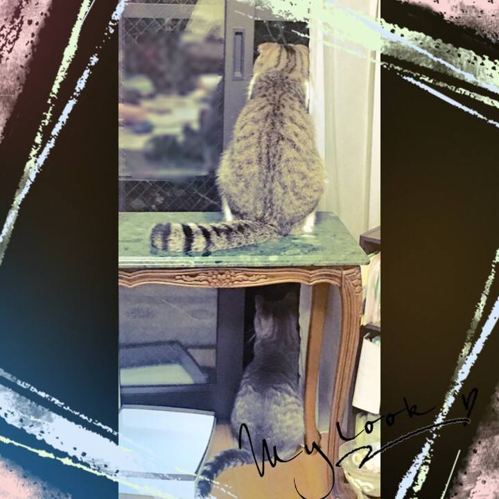 9638ab26 8546 40aa 8bd8 c6e0d915af86