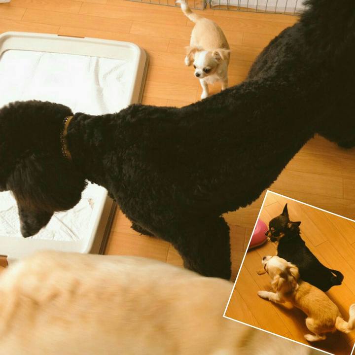 96390b34 2e47 4729 9895 a7b1ce1f2112