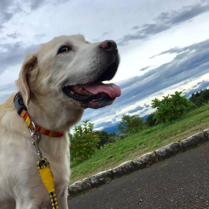 96391240 c59c 4782 9cdc 1cf8f30ed41b