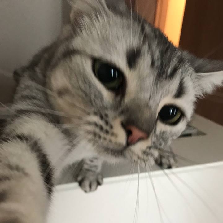 963938bc 105c 4303 8a2a 71310edb5ae8