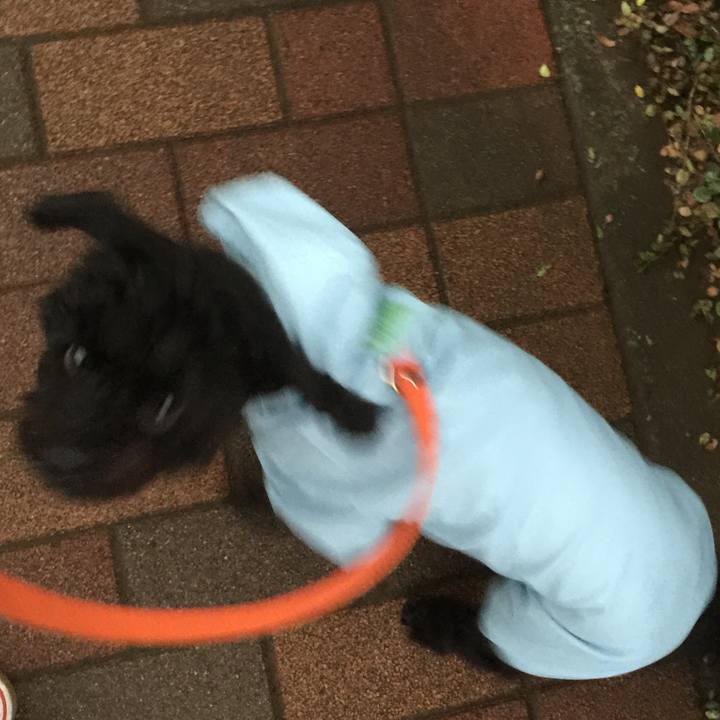 963991cb a718 4652 8641 585943474b56