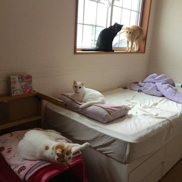 9639eacd 7054 4b3f bf5e a9cbea459834