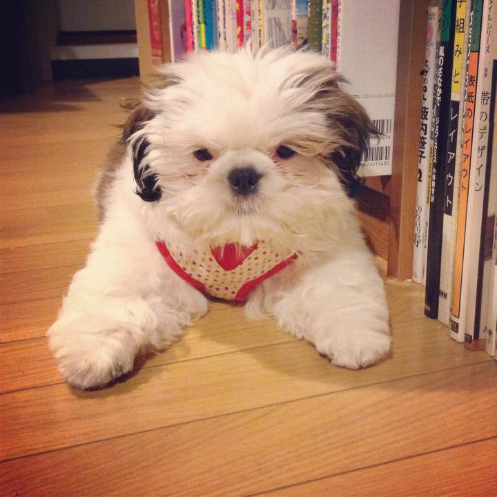 963a3654 e20d 456e aa51 2fbf304dacf1