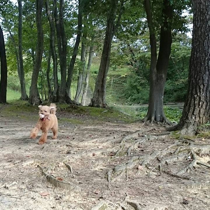 963ac355 2249 4154 bbc4 ef62ae237e0d