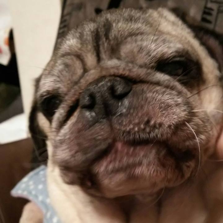 963b6c78 1050 48d1 83b7 6d53cfbd15c5