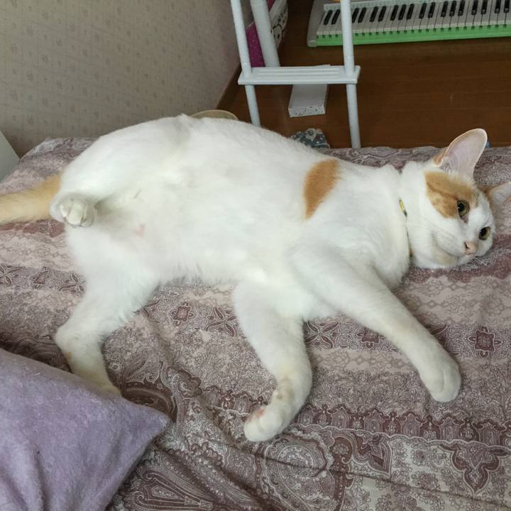 963c1aa1 8648 4cee b215 0cfd4db5b6a2