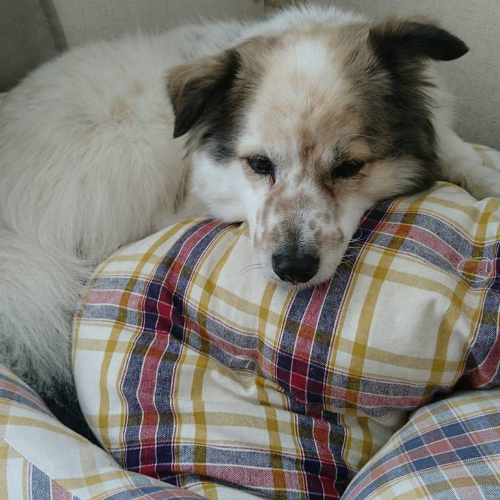 963c4951 1049 4b09 8d56 2a2d436e4c1f