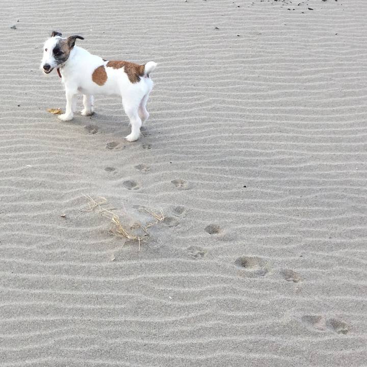 963cb10f 0f39 4ad7 9e09 c1547b447755