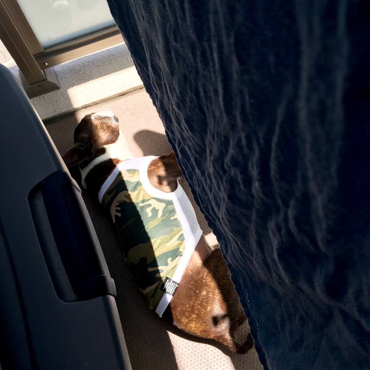 963cc405 4cc5 45eb be06 9729049e335c