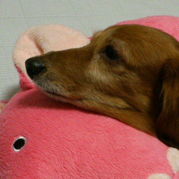 963ce53d c29a 4c0c 9f47 3e42487e7102