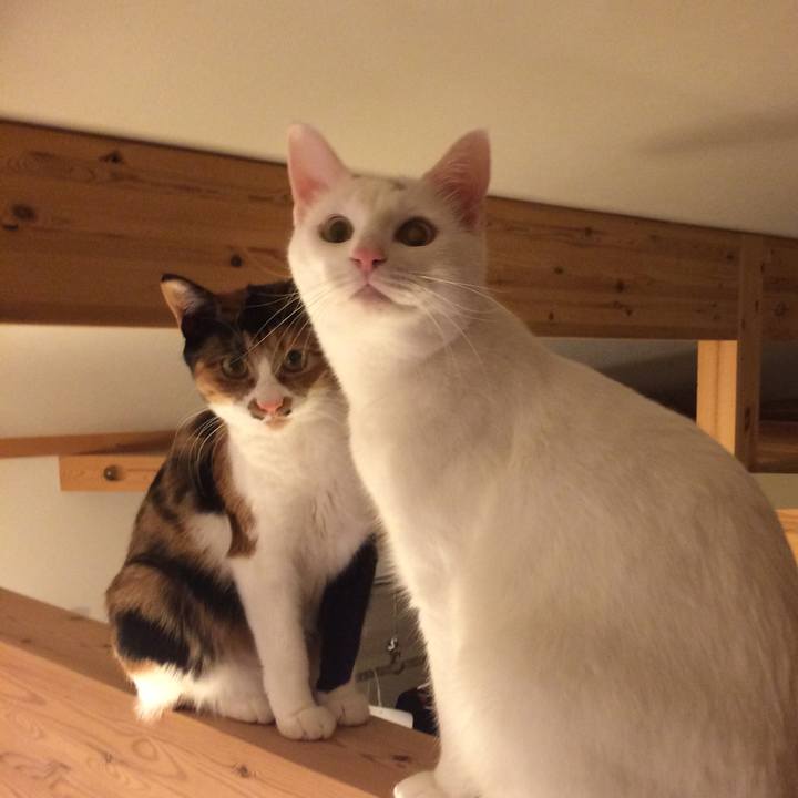 963dd158 4a59 4d23 9f1d 6c1740240f8d