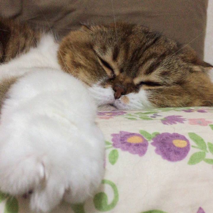 963e21d0 0460 457b 8b6b 0a45b5b49635