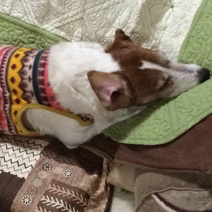 963e8dcb f9ed 4389 a31d b2f883ac70e3