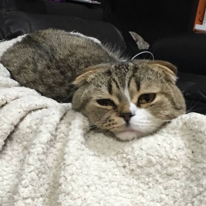 963f3617 10cb 43be 9217 1208da246830