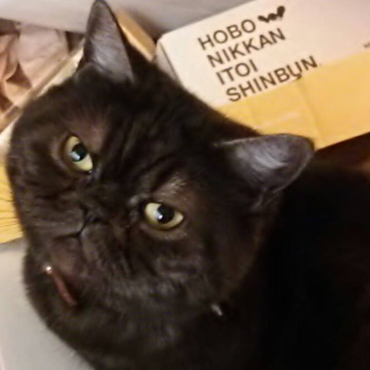 963f5505 bad5 45c4 974b 91224ccf0443