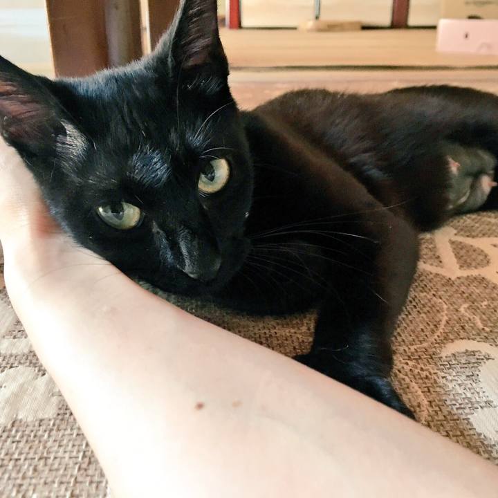 963f8f6a 0fff 4138 aae1 e8a30cfece11