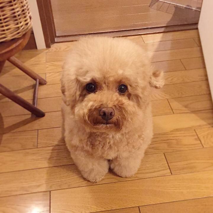 963fc867 3086 4ad4 a8e4 0d142e38bff3