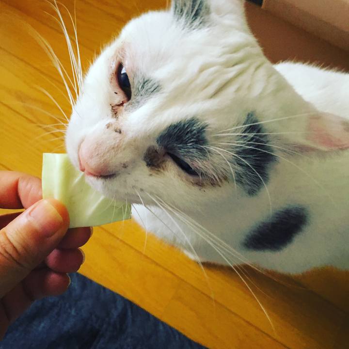 96409e5c 022f 4262 b2b6 8c007e0f5514