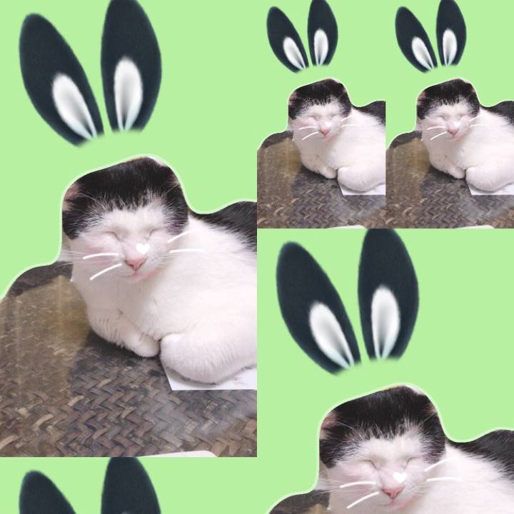 9641526a a732 41c0 9f99 16c3e77178a0