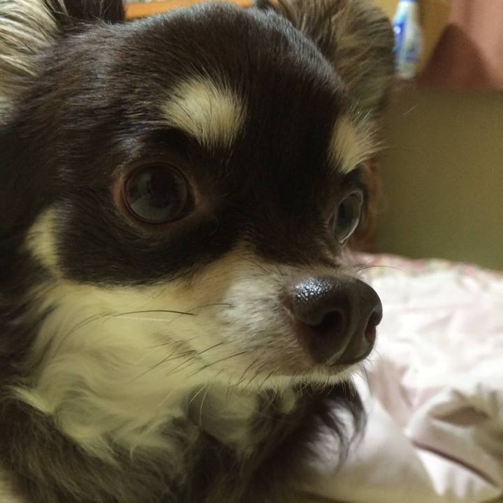 96416ecf 6652 4f27 a673 fbb45a033c7d