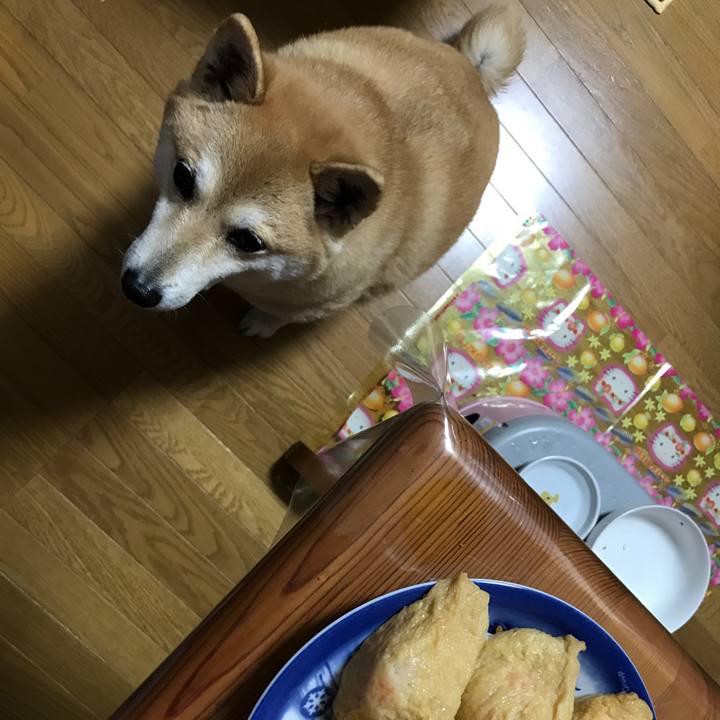 964172cd b764 4e79 bf1d 053be59bc1e3