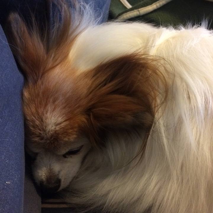 9641a19e 1af6 4ff7 8252 3aed755ed971