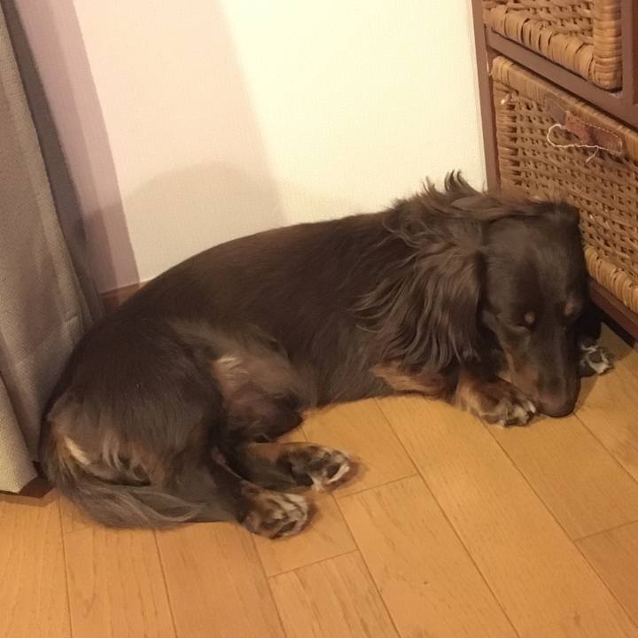 9641f2da 9109 4904 9d44 fc067bb5cb96